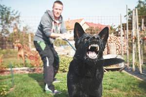 A man with his angry black dog. It is important to choose the right dog bite injury attorney